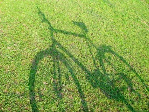 Image of the shadow of a bike on grass